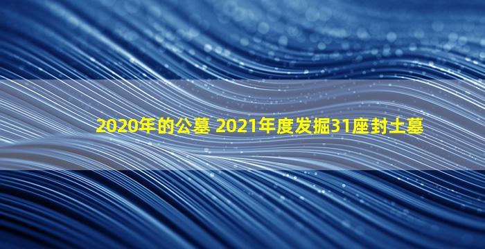 2020年的公墓 2021年度发掘31座封土墓